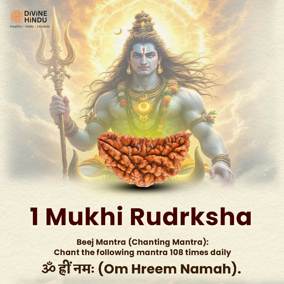 1 Mukhi Lab Certified Rudraksha - Image 4