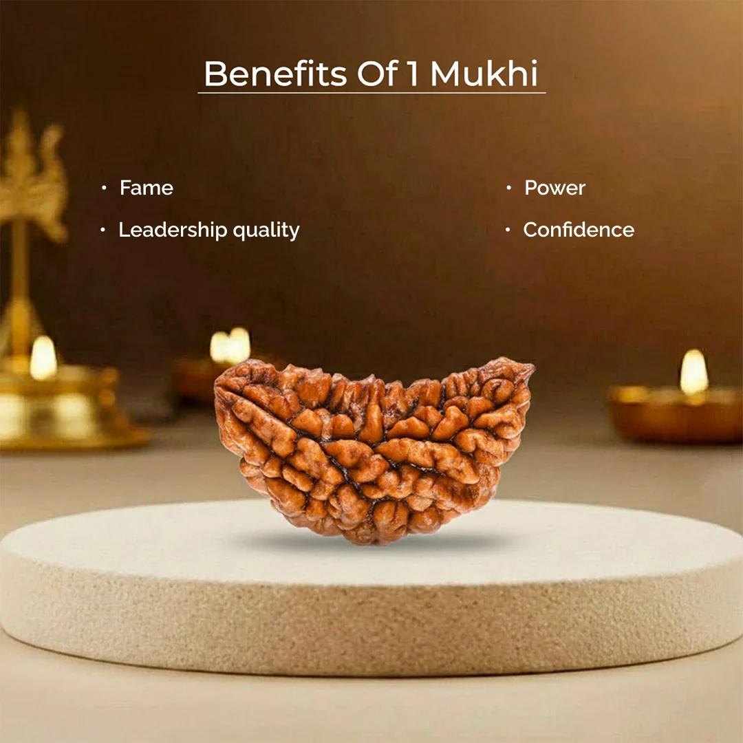 1 Mukhi Lab Certified Rudraksha - Image 7