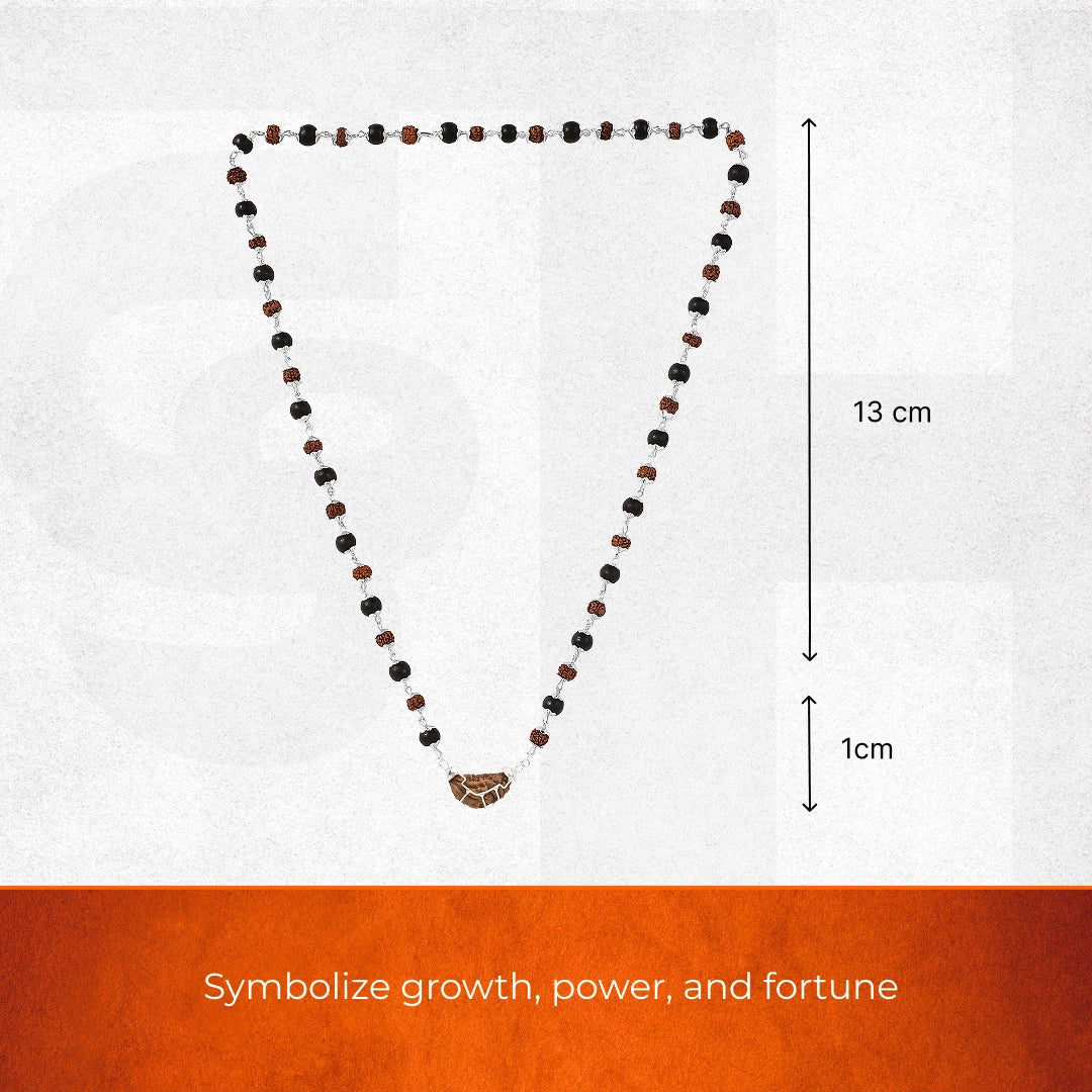 1 Mukhi Rudraksha & Karungali Pendant with Silver Cap - Image 4