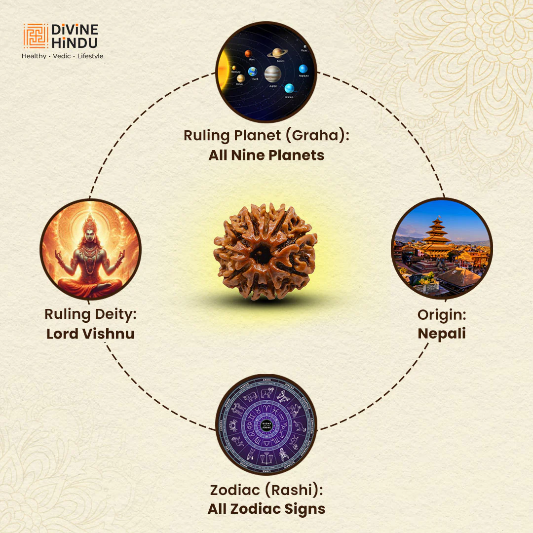 10 Mukhi Lab Tested Certified Rudraksha - Image 4