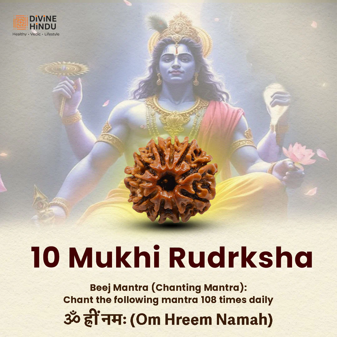 10 Mukhi Lab Tested Certified Rudraksha - Image 5