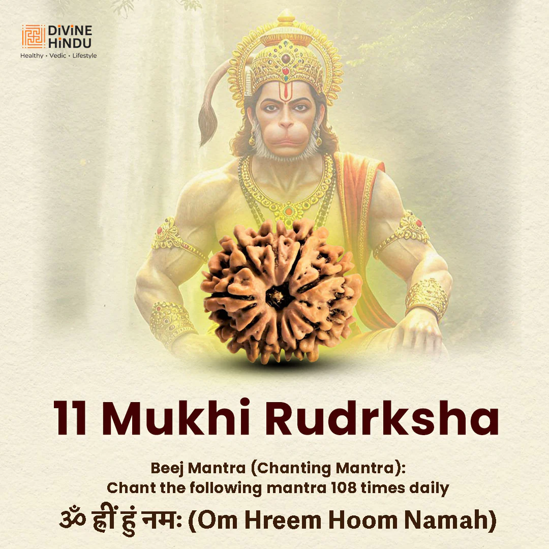 11 Mukhi Lab Tested Certified Rudraksha - Image 5
