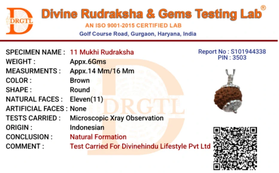 11 Mukhi Lab Tested Certified Rudraksha - Image 6