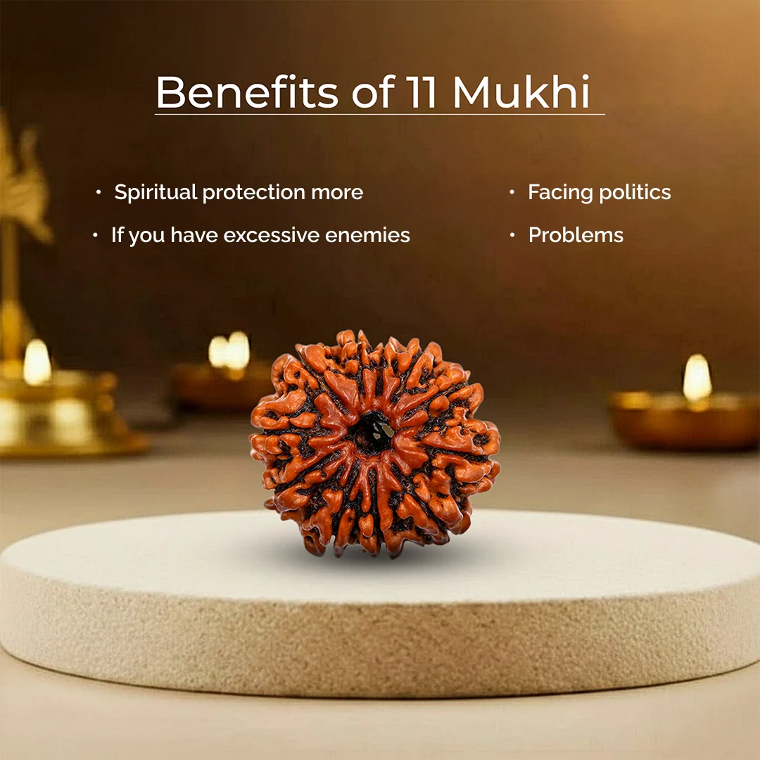 11 Mukhi Lab Tested Certified Rudraksha - Image 8