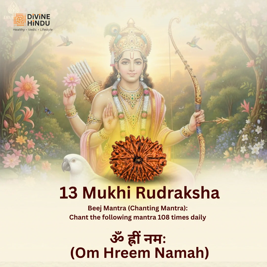 13 Mukhi Lab Tested Certified Rudraksha - Image 5