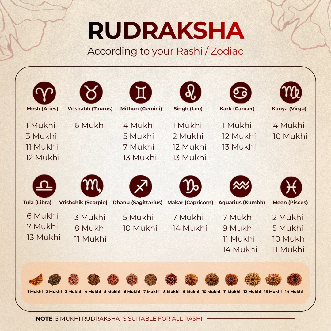 14 Mukhi Lab Tested Certified Rudraksha - Image 6