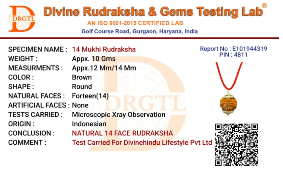 14 Mukhi Lab Tested Certified Rudraksha - Image 7