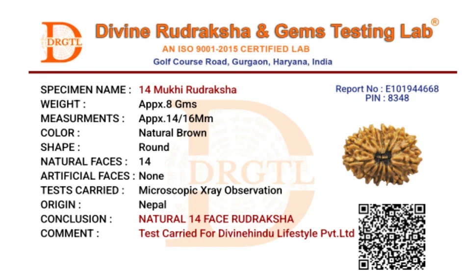 14 Mukhi Lab Tested Certified Rudraksha - Image 8