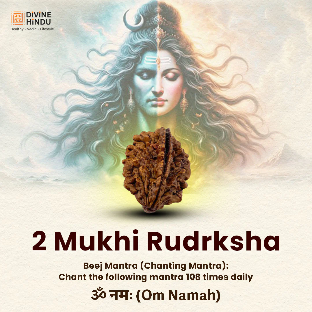2 Mukhi Lab Tested Certified Rudraksha - Image 5