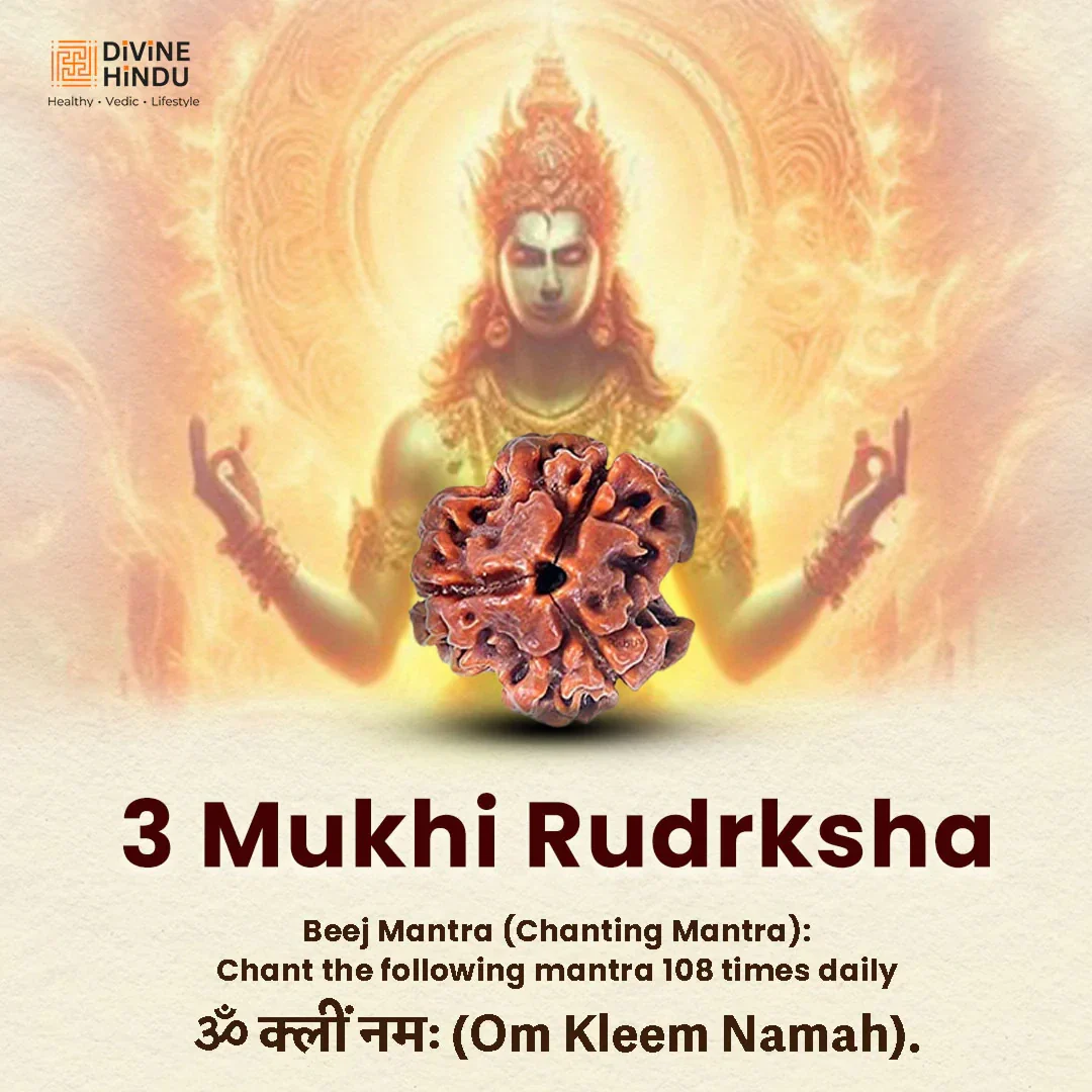 3 Mukhi Lab Certified Rudraksha - Image 5