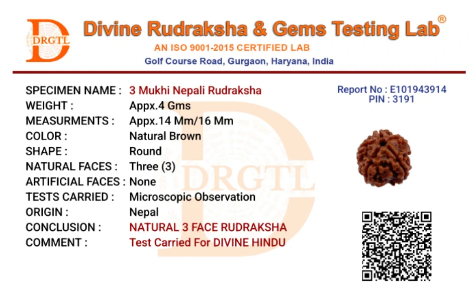 3 Mukhi Lab Certified Rudraksha - Image 7