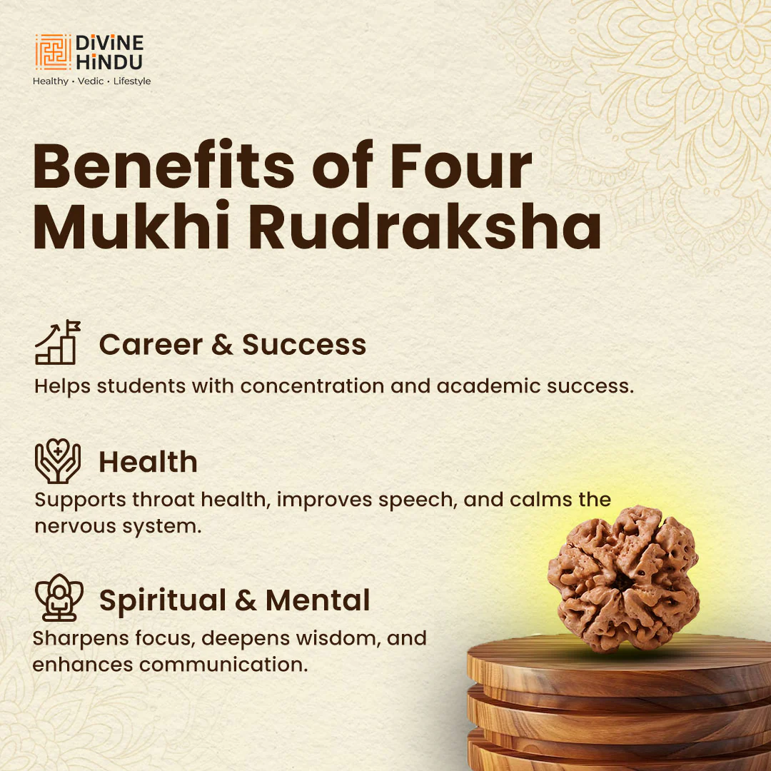 4 Mukhi Lab Tested Certified Nepali Rudraksha - Image 5