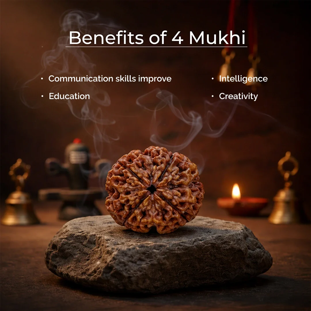 4 Mukhi Lab Tested Certified Nepali Rudraksha - Image 7