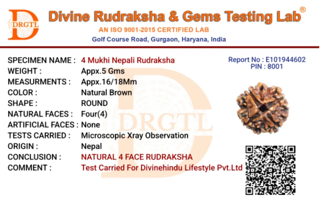 4 Mukhi Lab Tested Certified Nepali Rudraksha - Image 8