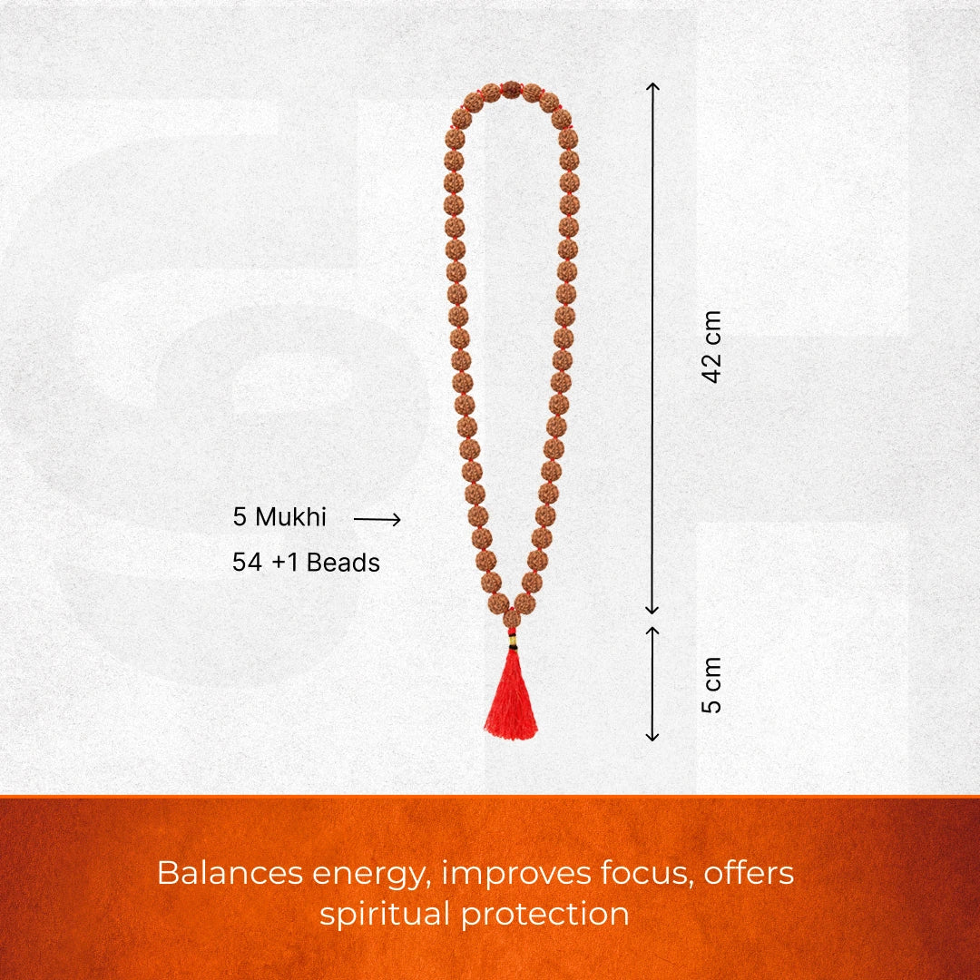 5 Mukhi Nepali Rudraksha Mala – 54+1 Beads - Image 4