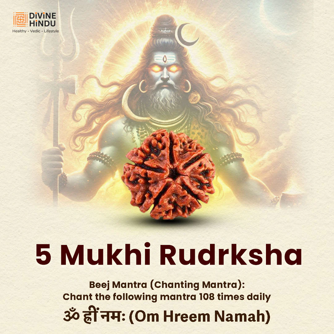 5 Mukhi Lab Tested Certified Nepali Rudraksha - Image 5