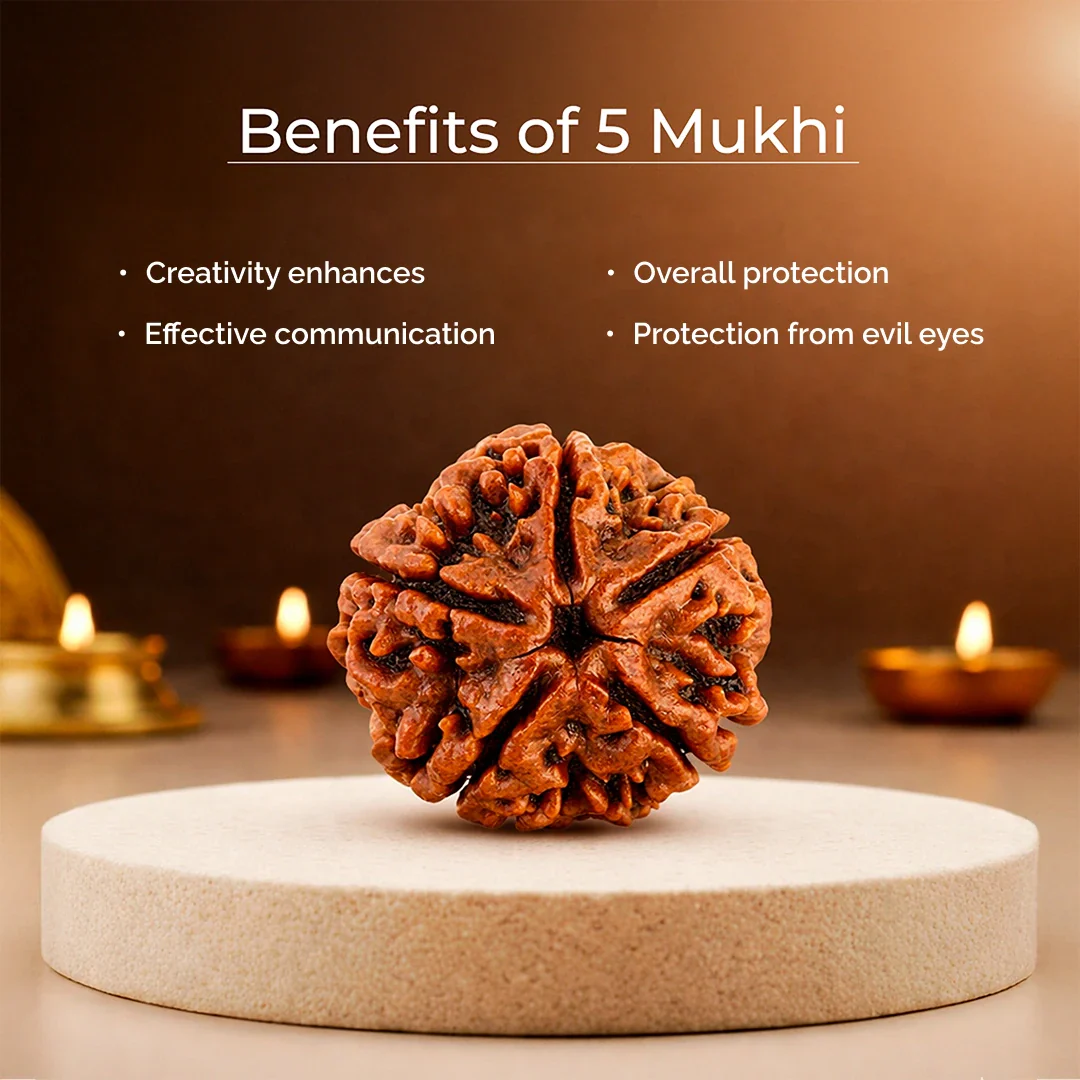 5 Mukhi Lab Tested Certified Nepali Rudraksha - Image 7