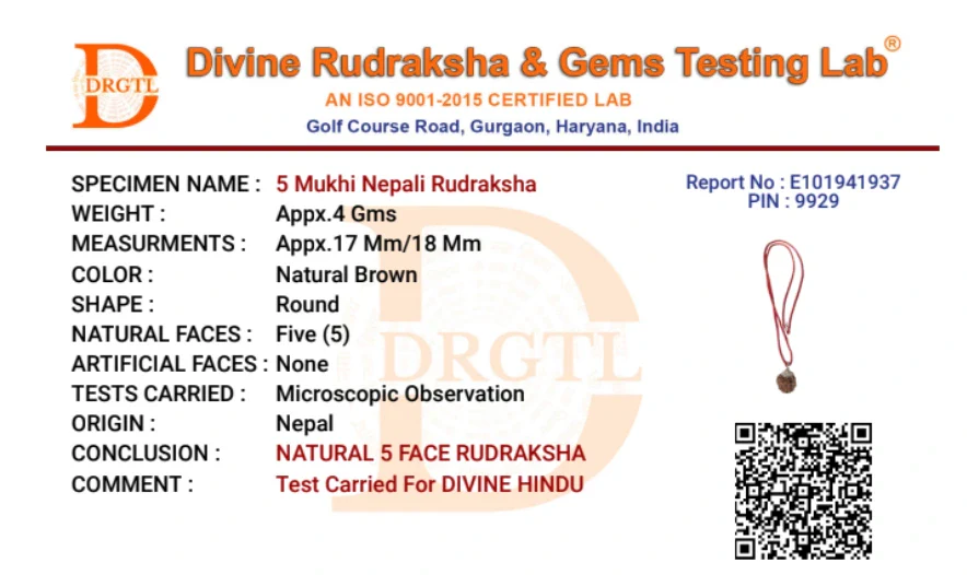 5 Mukhi Lab Tested Certified Nepali Rudraksha - Image 8