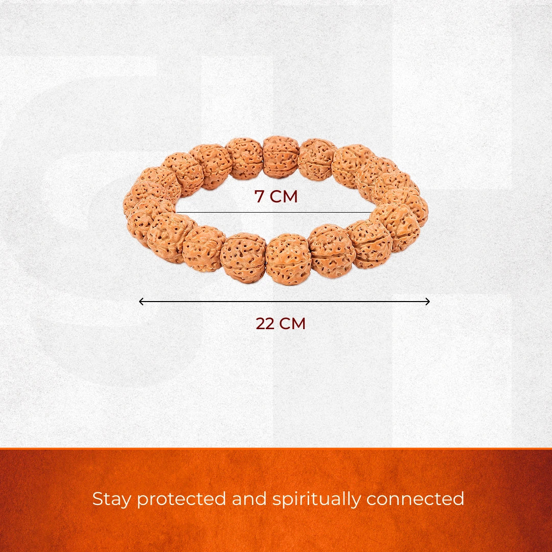 5 Mukhi Rudraksha Bracelet - Image 4