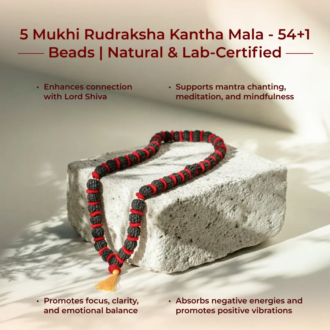 5 Mukhi Rudraksha Kantha Mala - 54+1 Beads | Natural & Lab-Certified - Image 3
