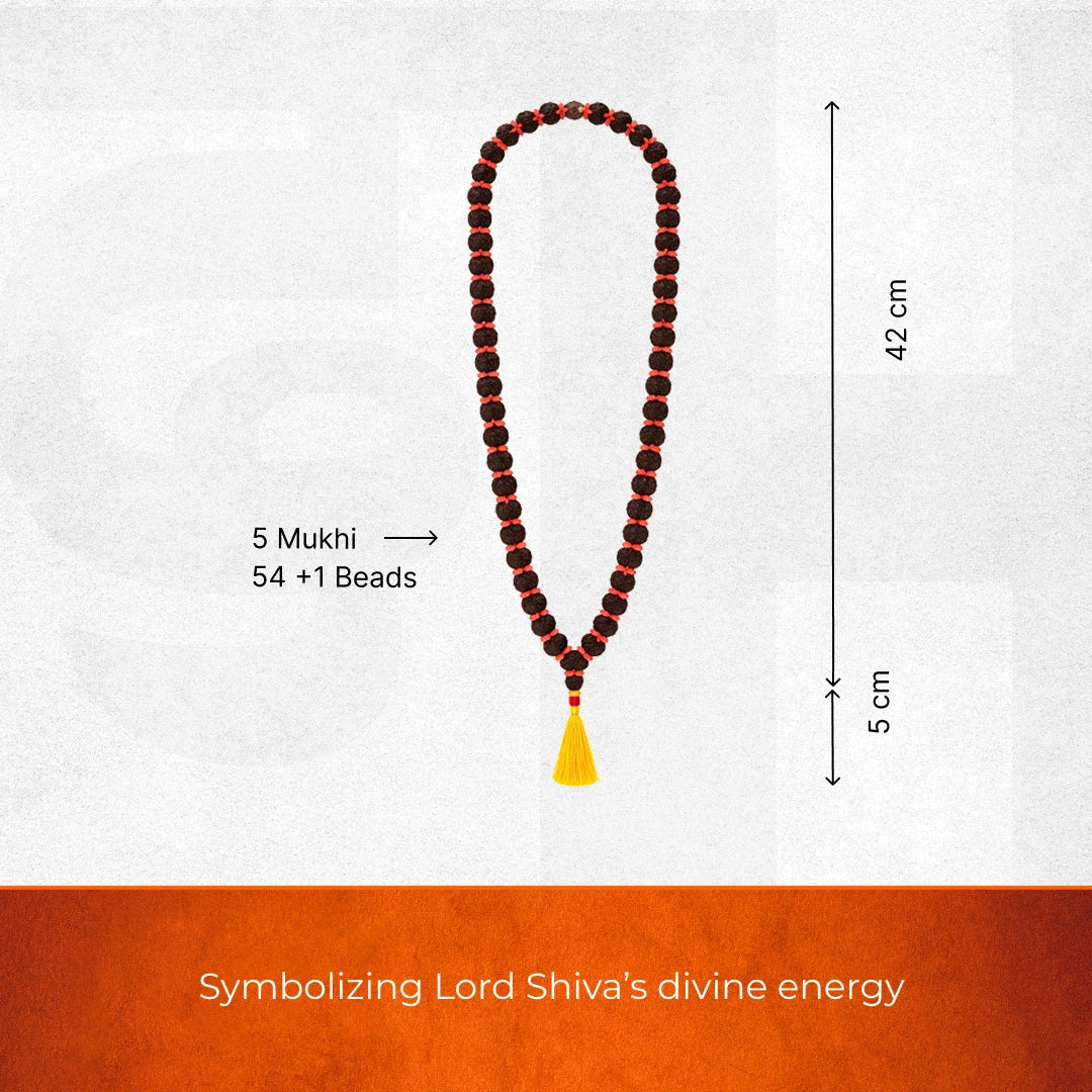 5 Mukhi Rudraksha Kantha Mala - 54+1 Beads | Natural & Lab-Certified - Image 4