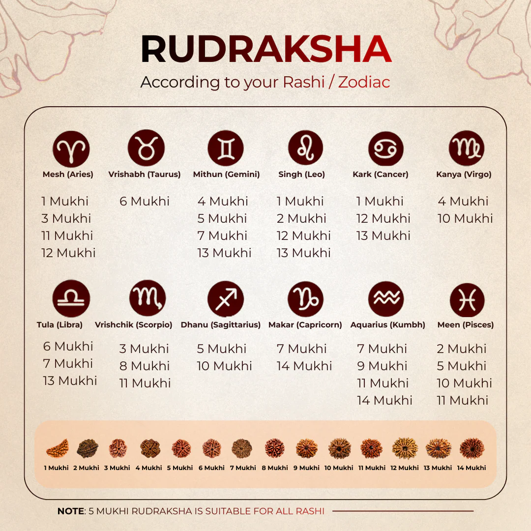 7 Mukhi Lab Tested Certified Nepali Rudraksha - Image 3