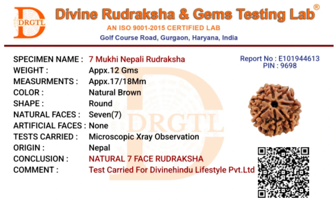 7 Mukhi Lab Tested Certified Nepali Rudraksha - Image 7