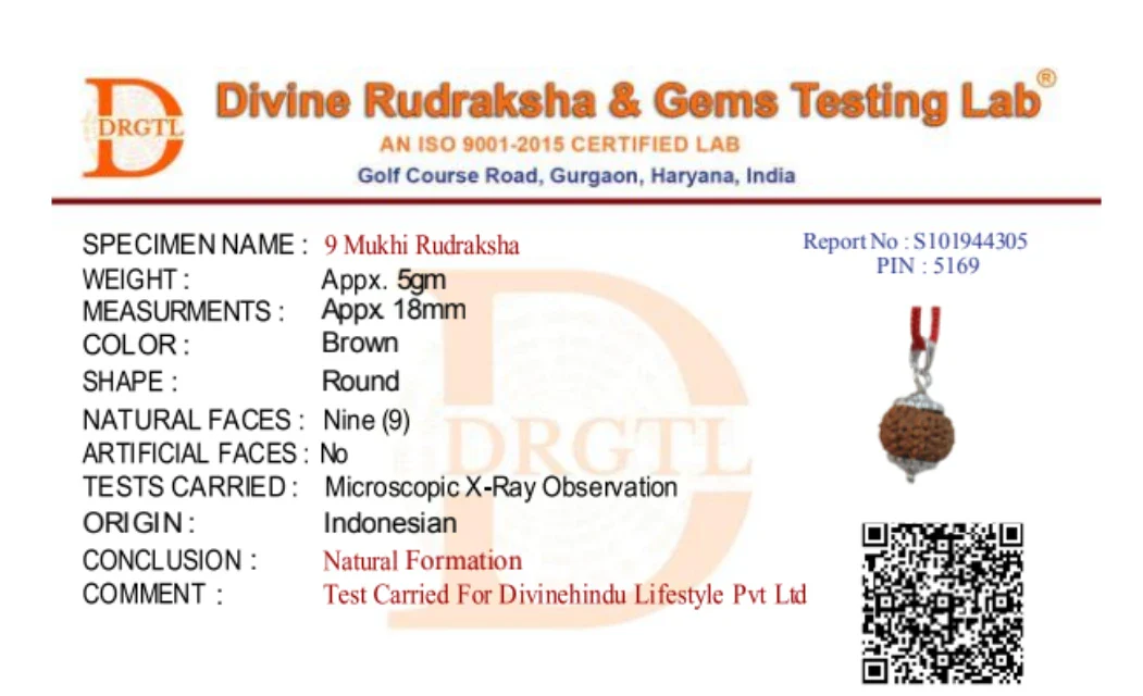 9 Mukhi Lab Tested Certified Rudraksha - Image 7