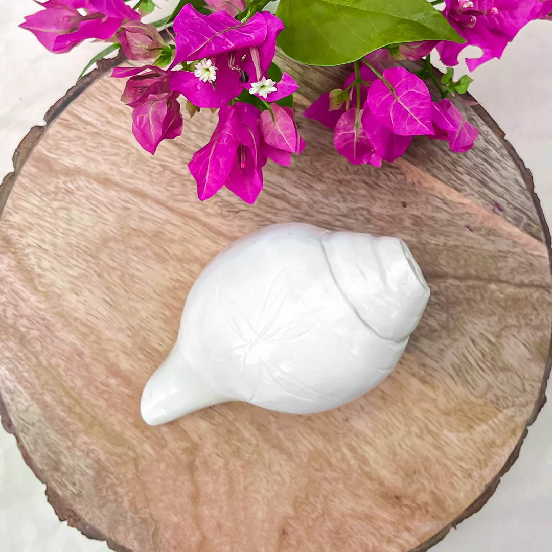 Divine Blowing Shankh - Image 3