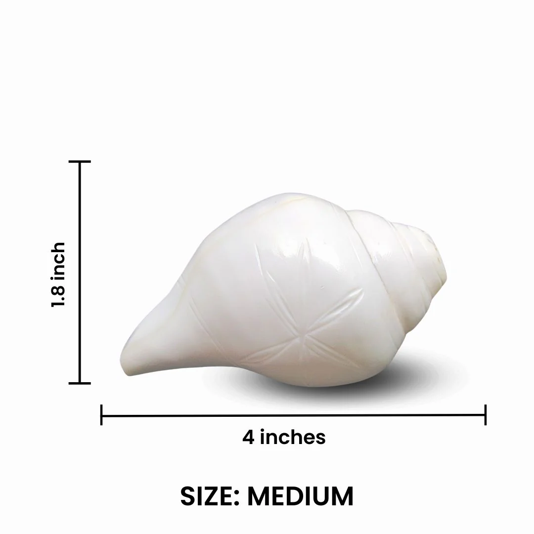 Divine Blowing Shankh - Image 6