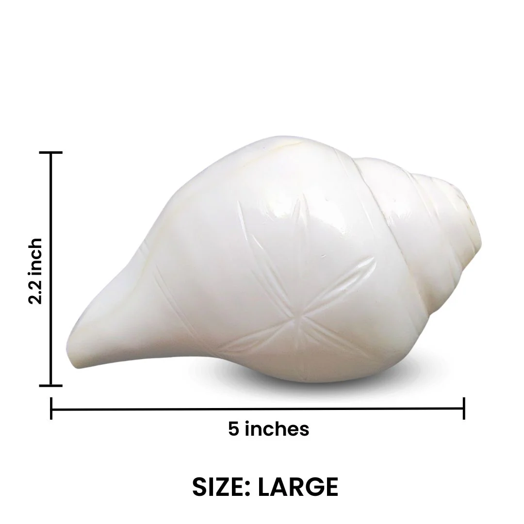 Divine Blowing Shankh - Image 7