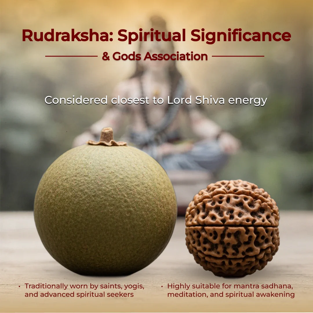 108 Beads Rudraksha Jaap Mala - Image 6