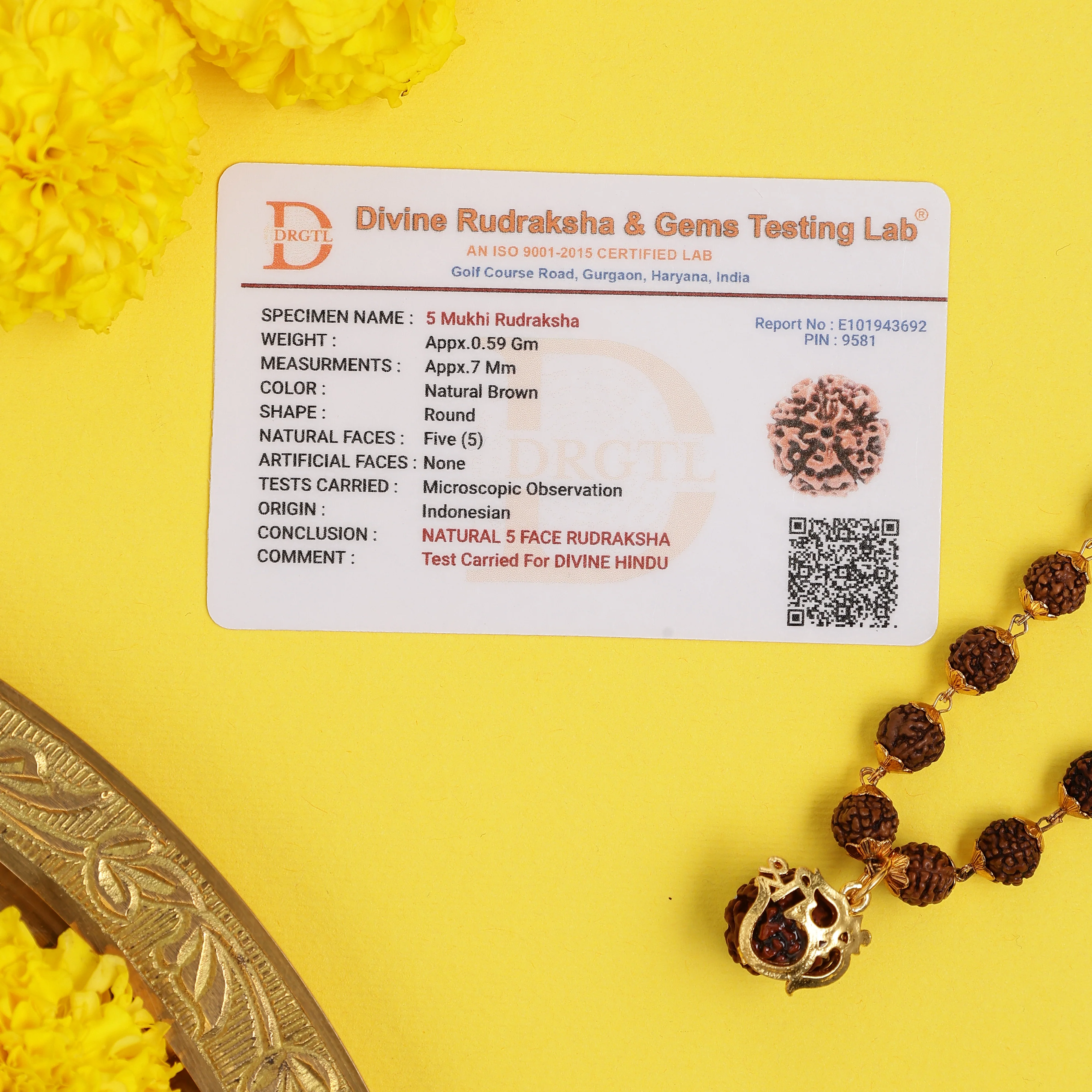 Divine Rudraksha Pendant Necklace - Image 9