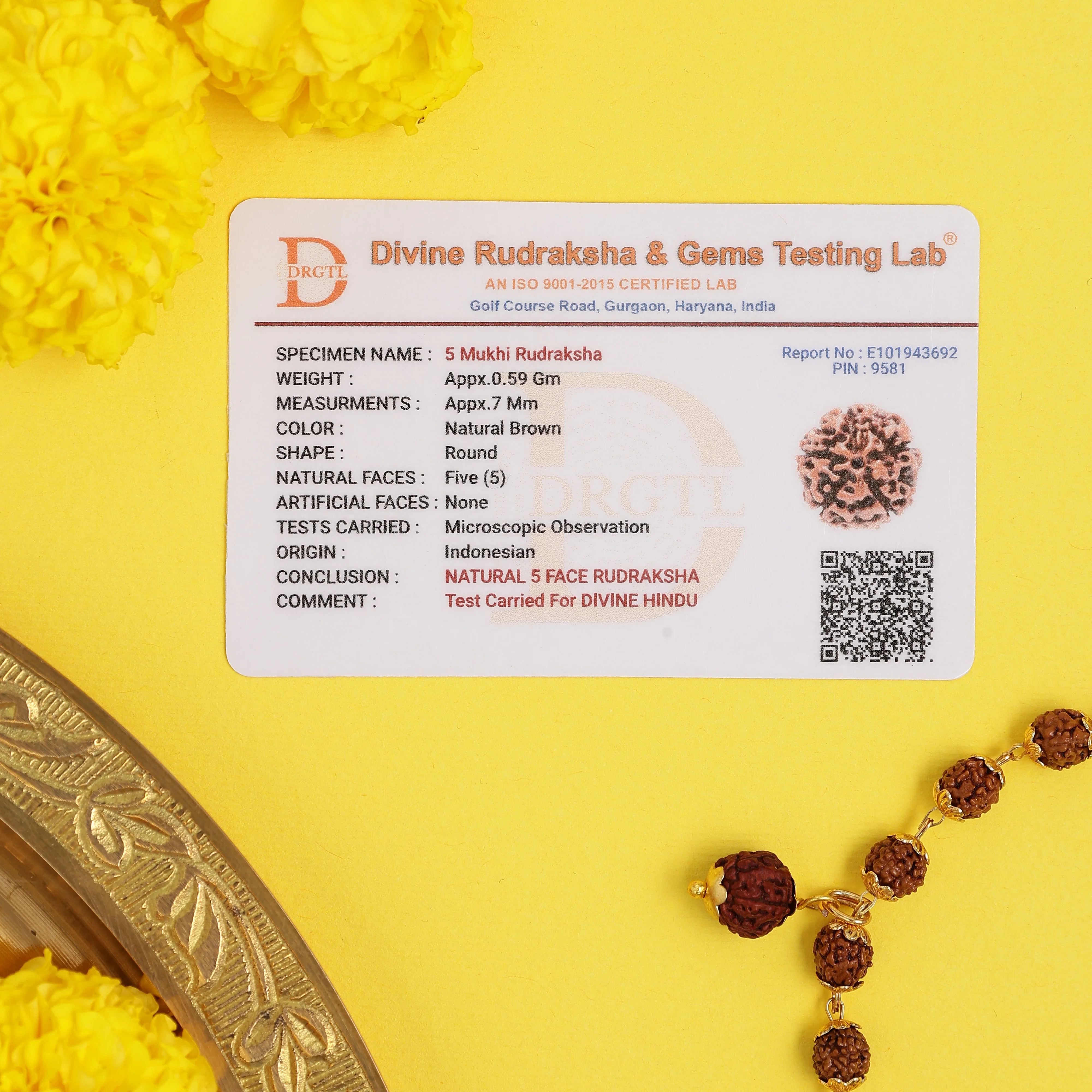 Golden Cap 5-Mukhi Rudraksha – Lab Certified - Image 8