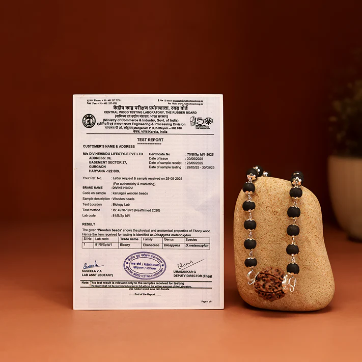 Karungali Mala in Silver-Cap with 7 Mukhi Rudraksha - Image 8