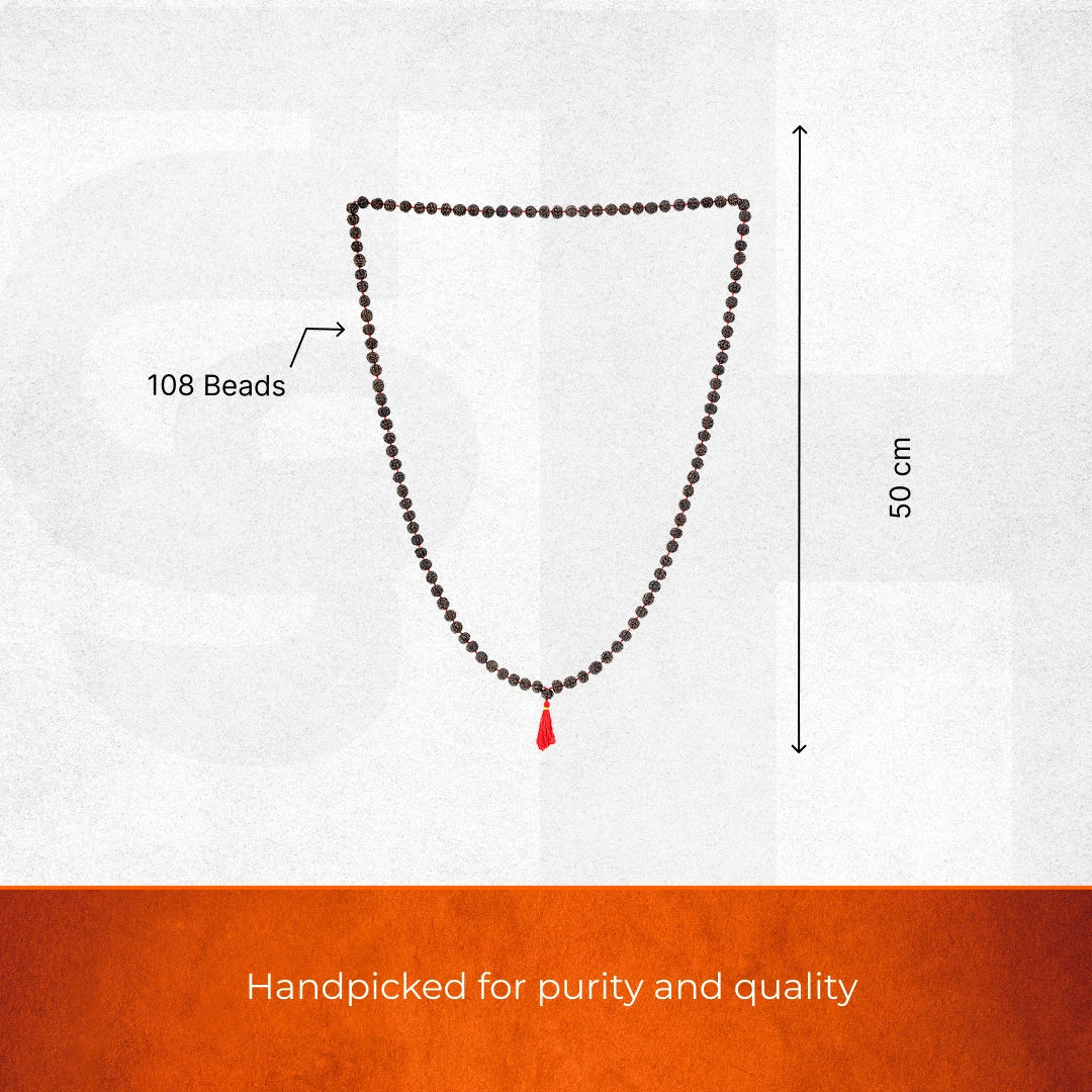 Pure Black Rudraksha Mala - 108 Beads - Image 4