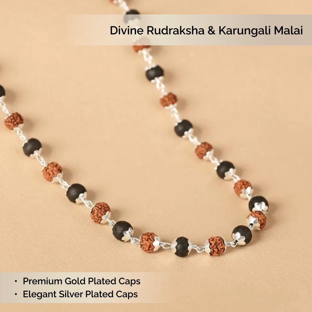 Divine Rudraksha & Karungali Malai | Govt. Lab Certified - Image 3
