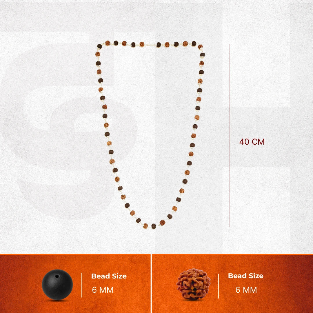 Divine Rudraksha & Karungali Malai | Govt. Lab Certified - Image 7